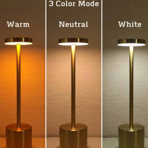 Simple Table Lamp LED Rechargeable Touch Desk